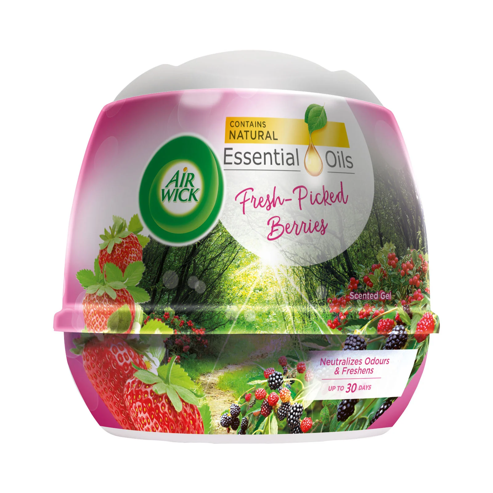Air Wick Standard Gel Cone FreshPicked Strawberry 180g - Image 2