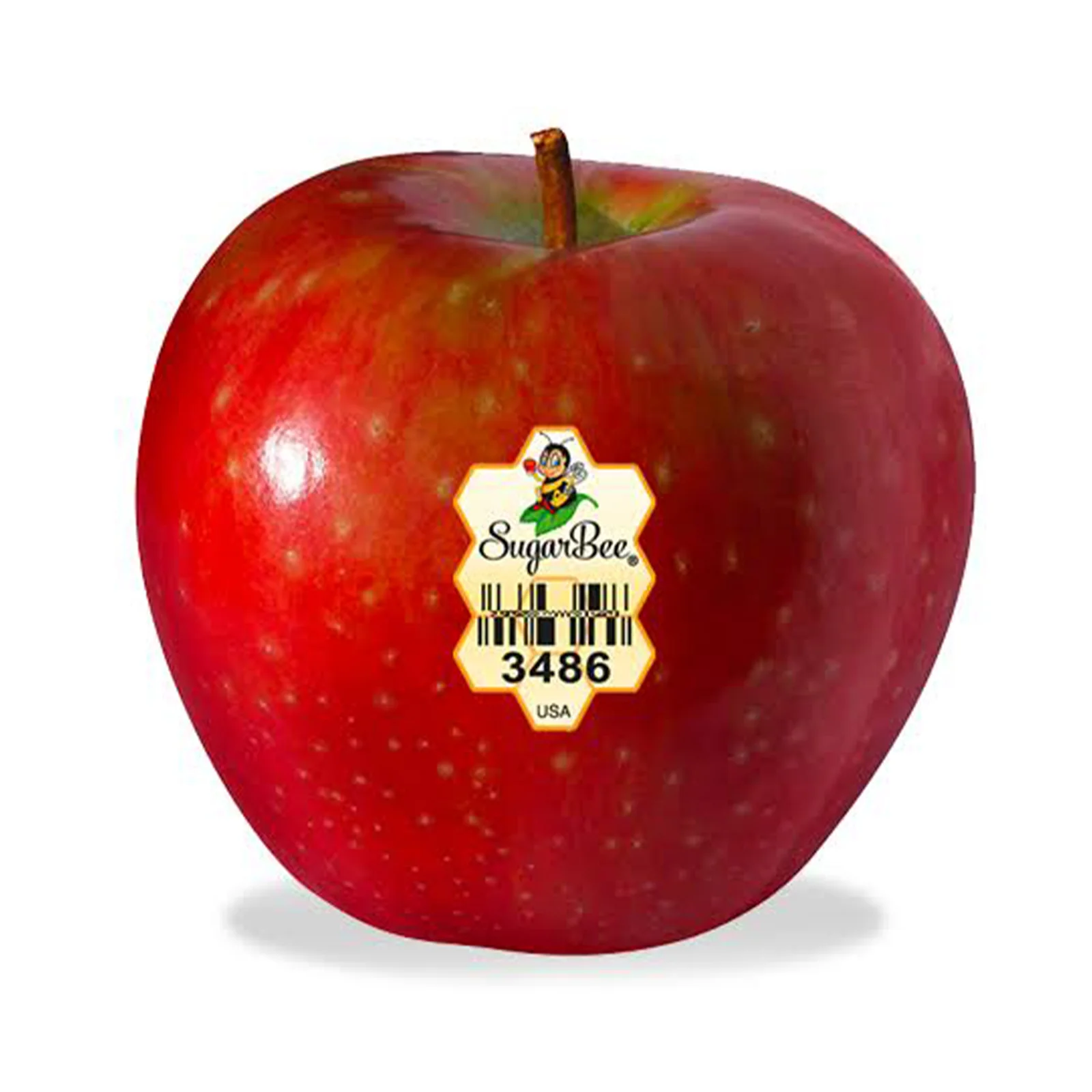 SugarBee Apple (USA) 6pcs/pack - Image 2