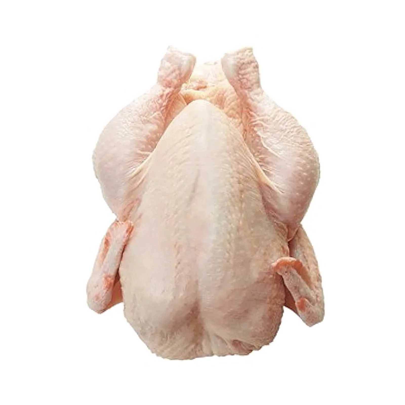 Aqina Spring Chicken 1unit - Image 2