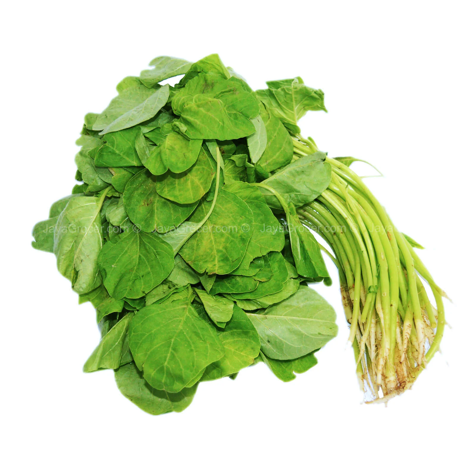 Baby Round Spinach (Baby Bayam Bulat) 200g - Image 2