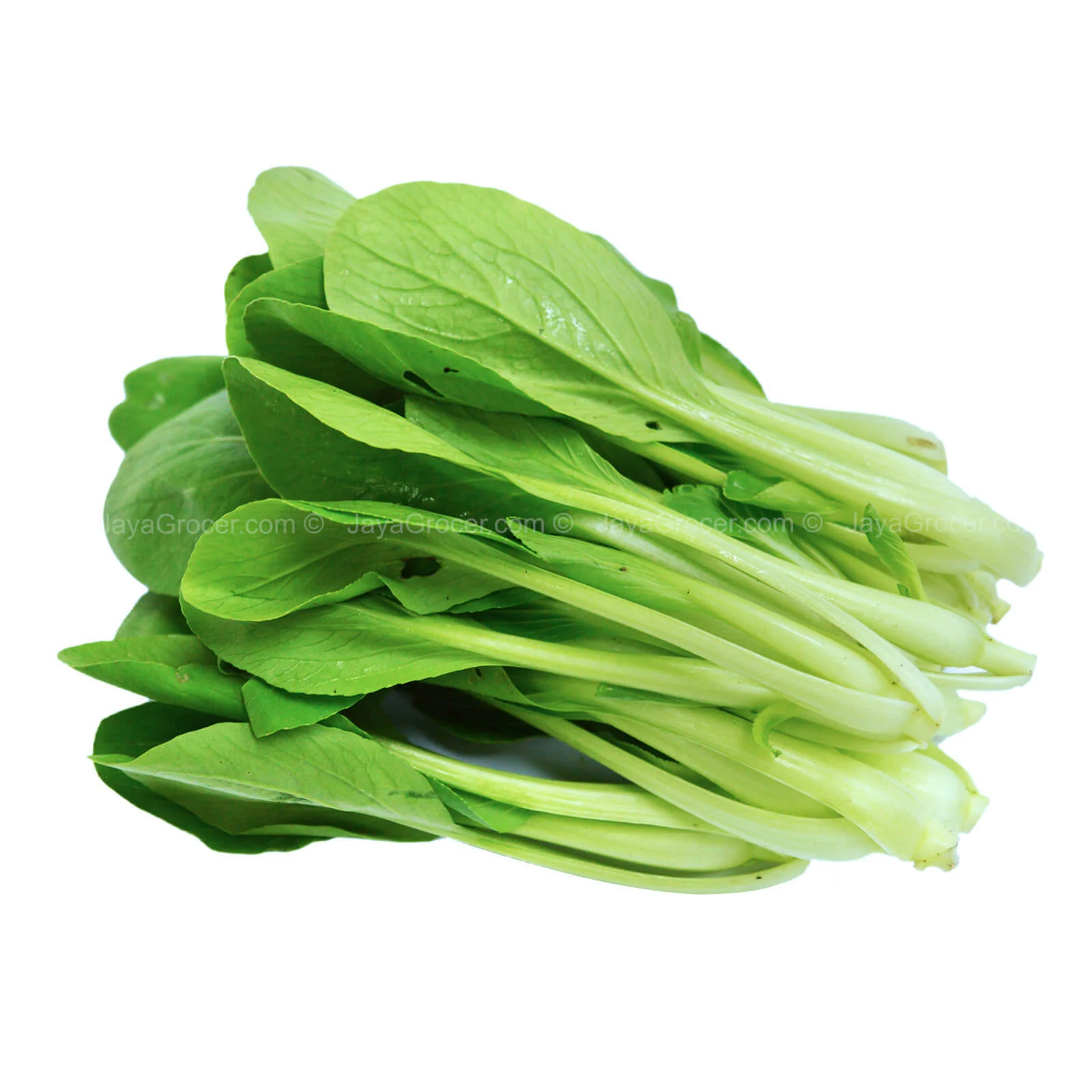 Summer Harvest Baby Siow Pak Choy (Sawi Jepun Kecil) (Malaysia) 200g - Image 2