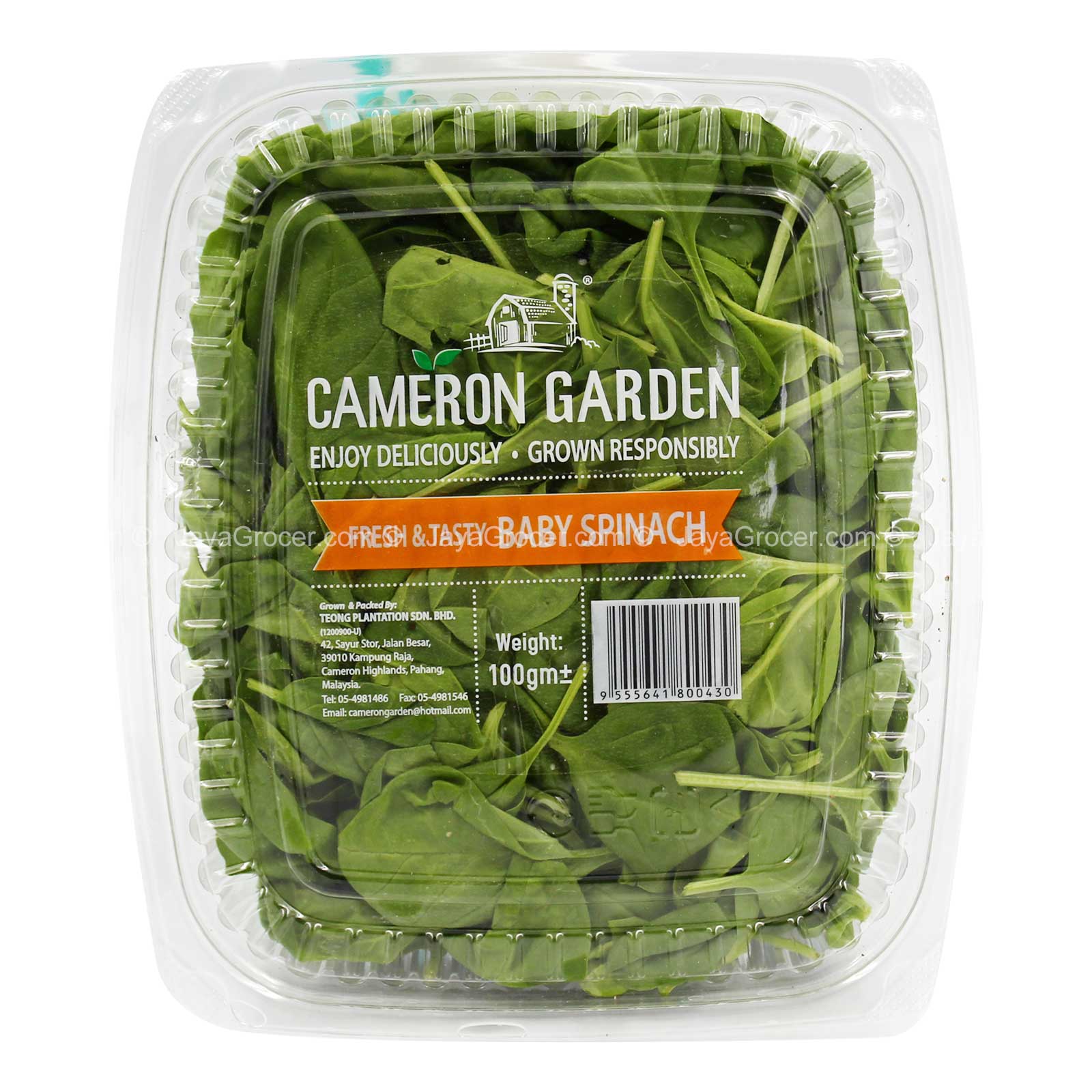 Cameron Garden Baby Spinach (Malaysia) 100g - Image 2