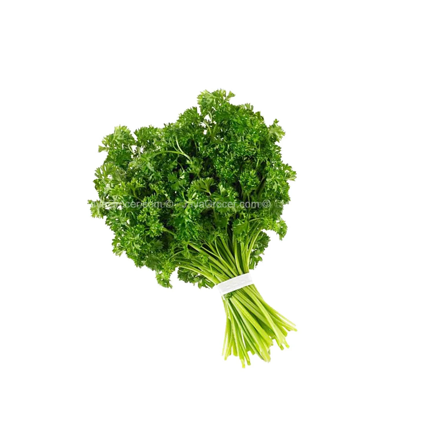 Cameron Garden Garden Parsley (Malaysia) 100g - Image 2