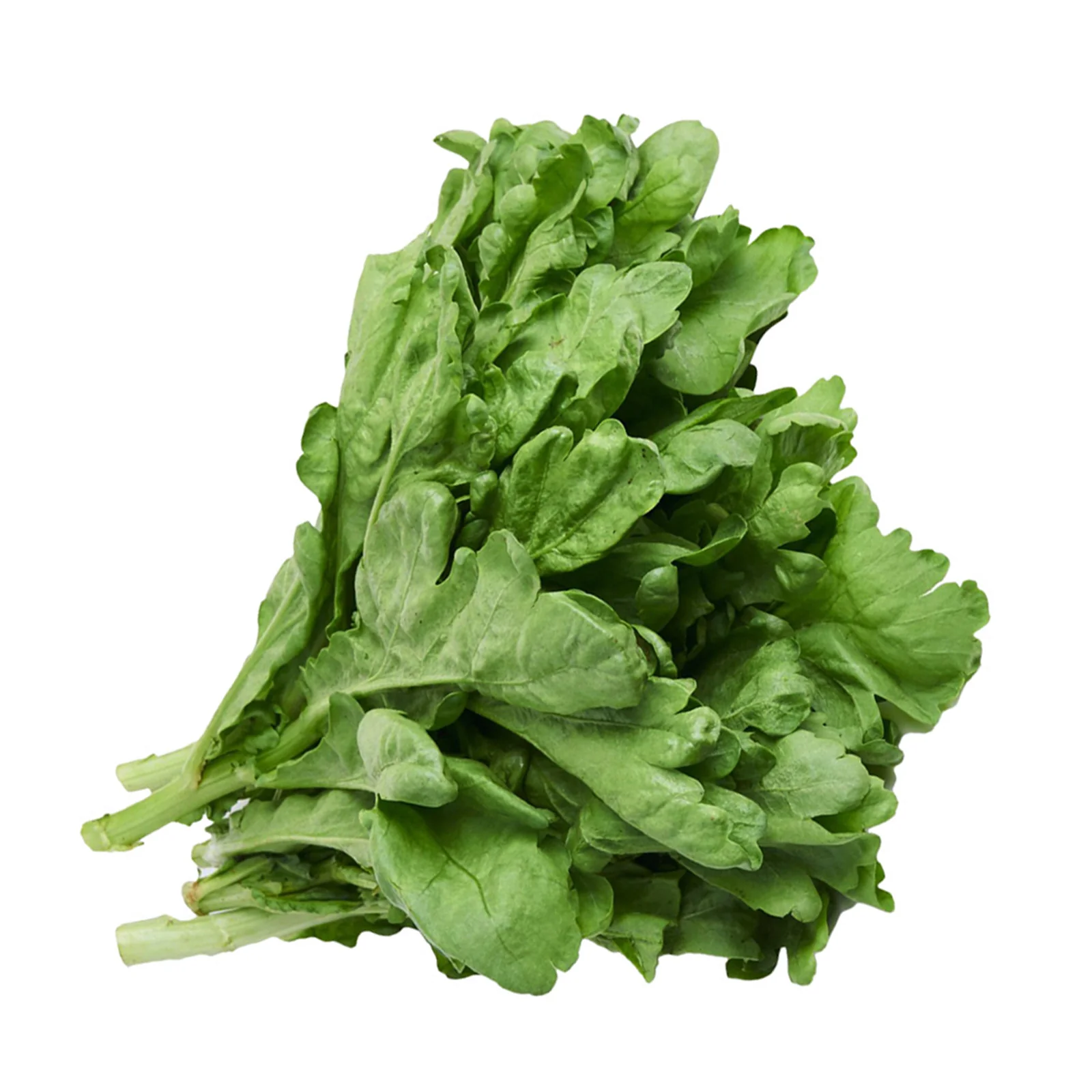 Cameron Garden Probiotic Tong Ho (Malaysia) 200g - Image 2