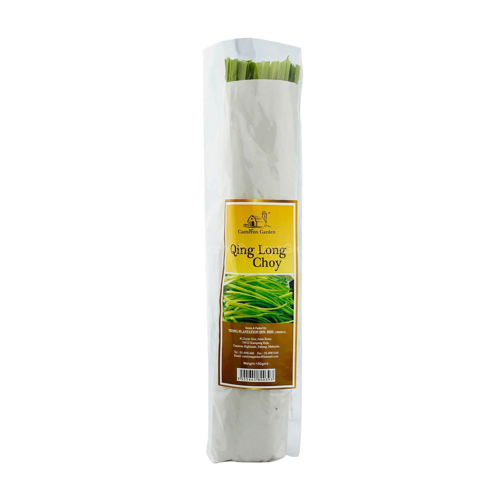 Cameron Garden Green Dragon Sprout/Qing Long Choy (Chinese Chives) (Malaysia) 150g - Image 2