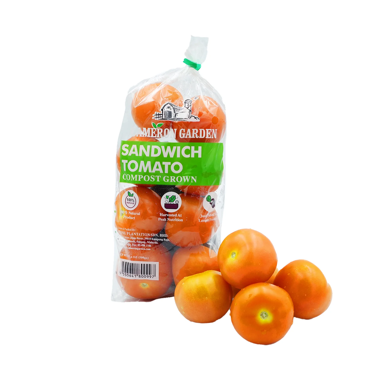 Cameron Garden Tomato (Malaysia) 500g - Image 2