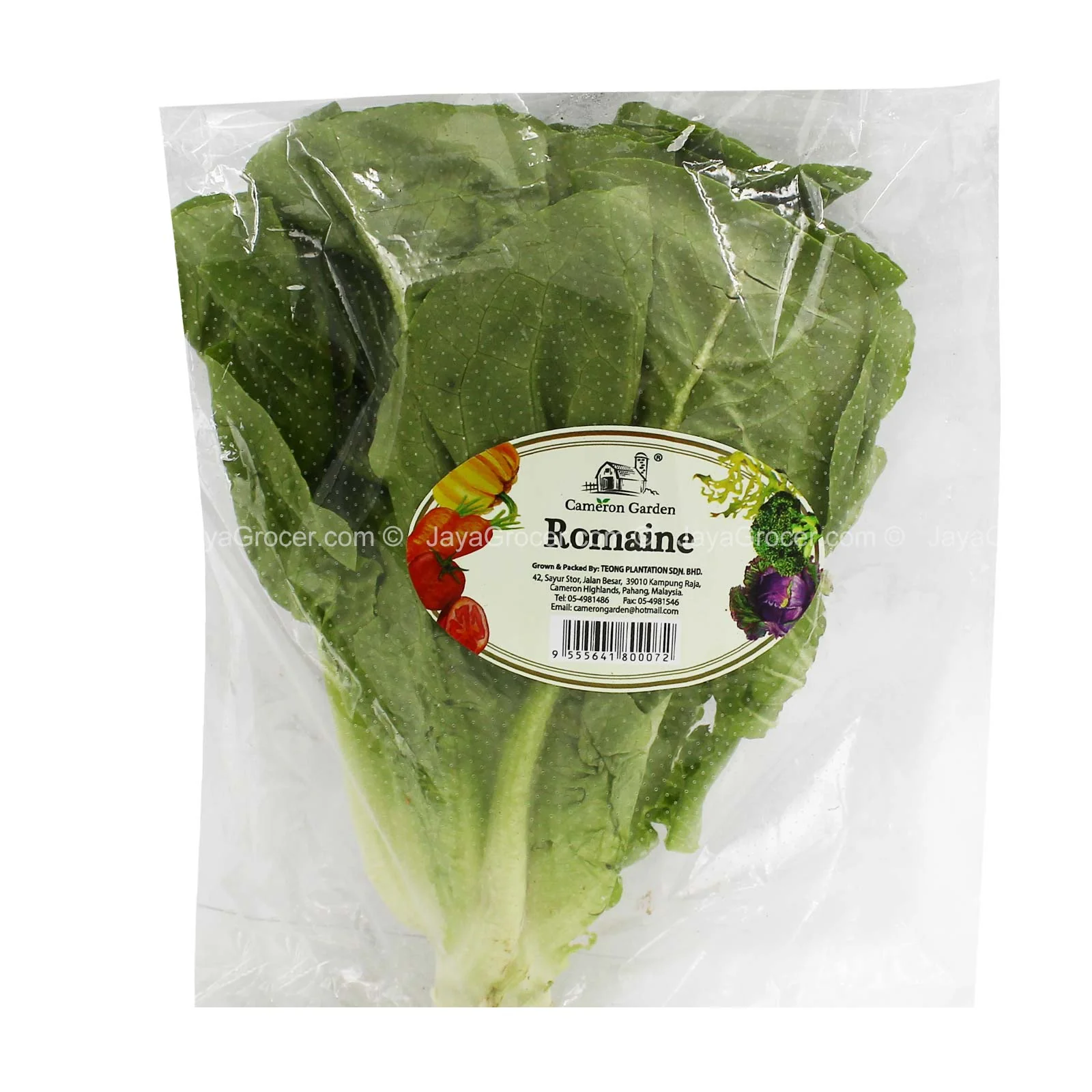 Cameron Garden Romaine Lettuce 220g - Image 2