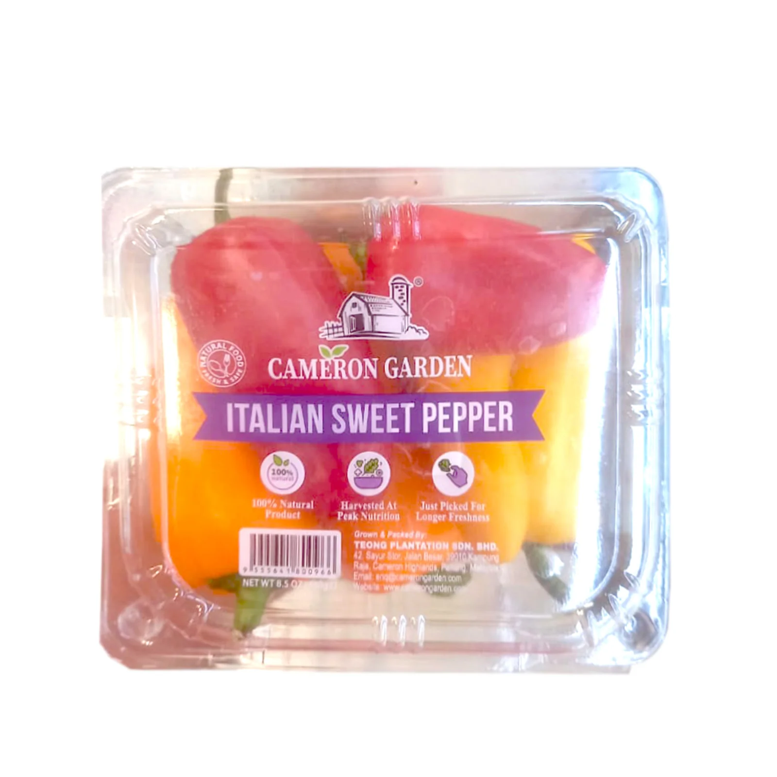 Cameron Garden Sweet Italian Pepper (Malaysia) 220g - Image 2