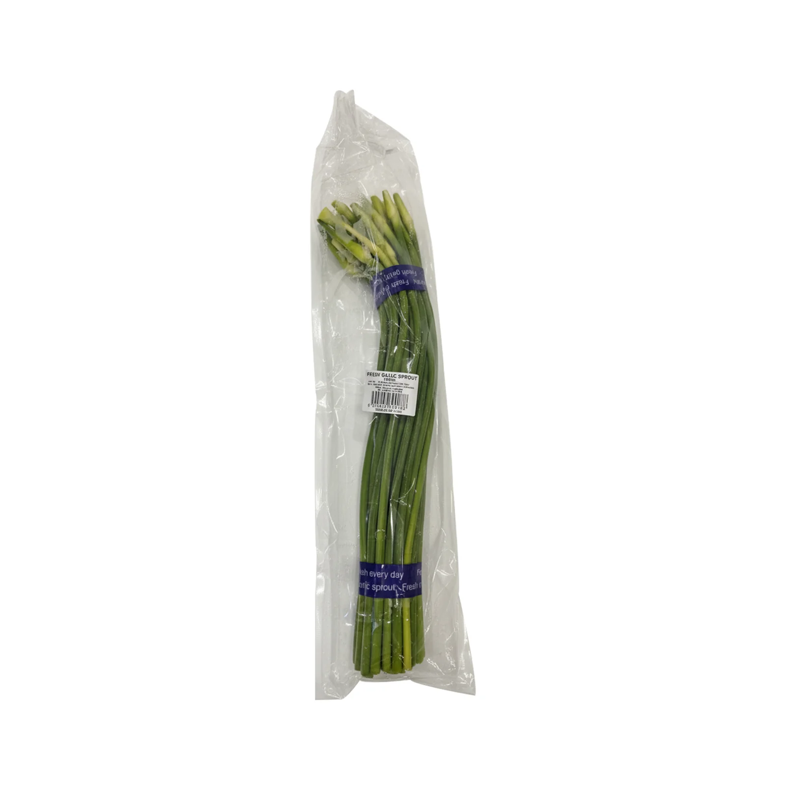 Ty Garlic Sprout (China) 180g - Image 2