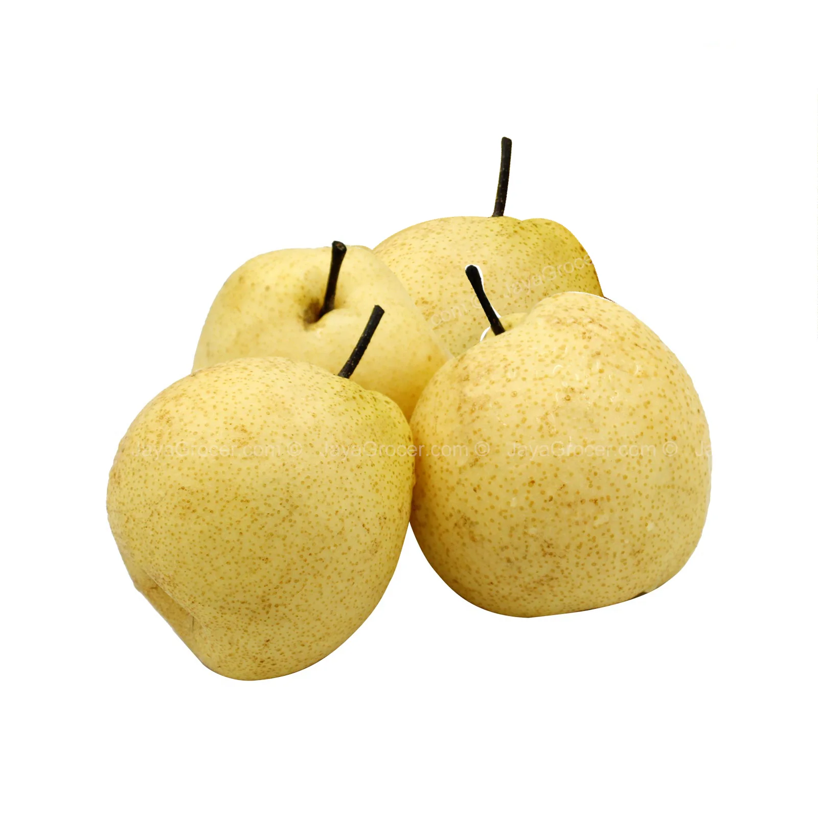 Gong Pear (China) 4pcs/pack - Image 2