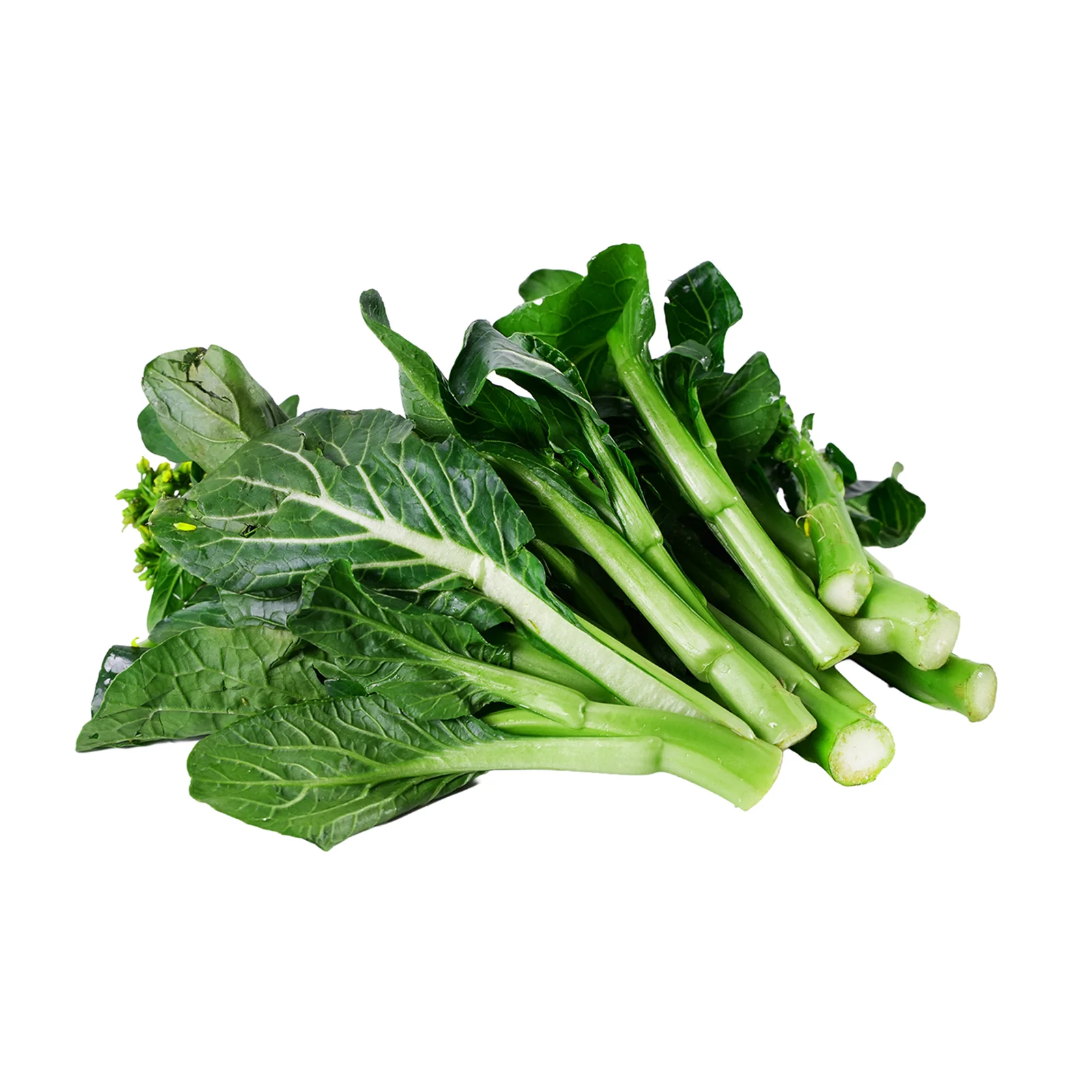 Hong Kong Baby Sawi (China) 200g