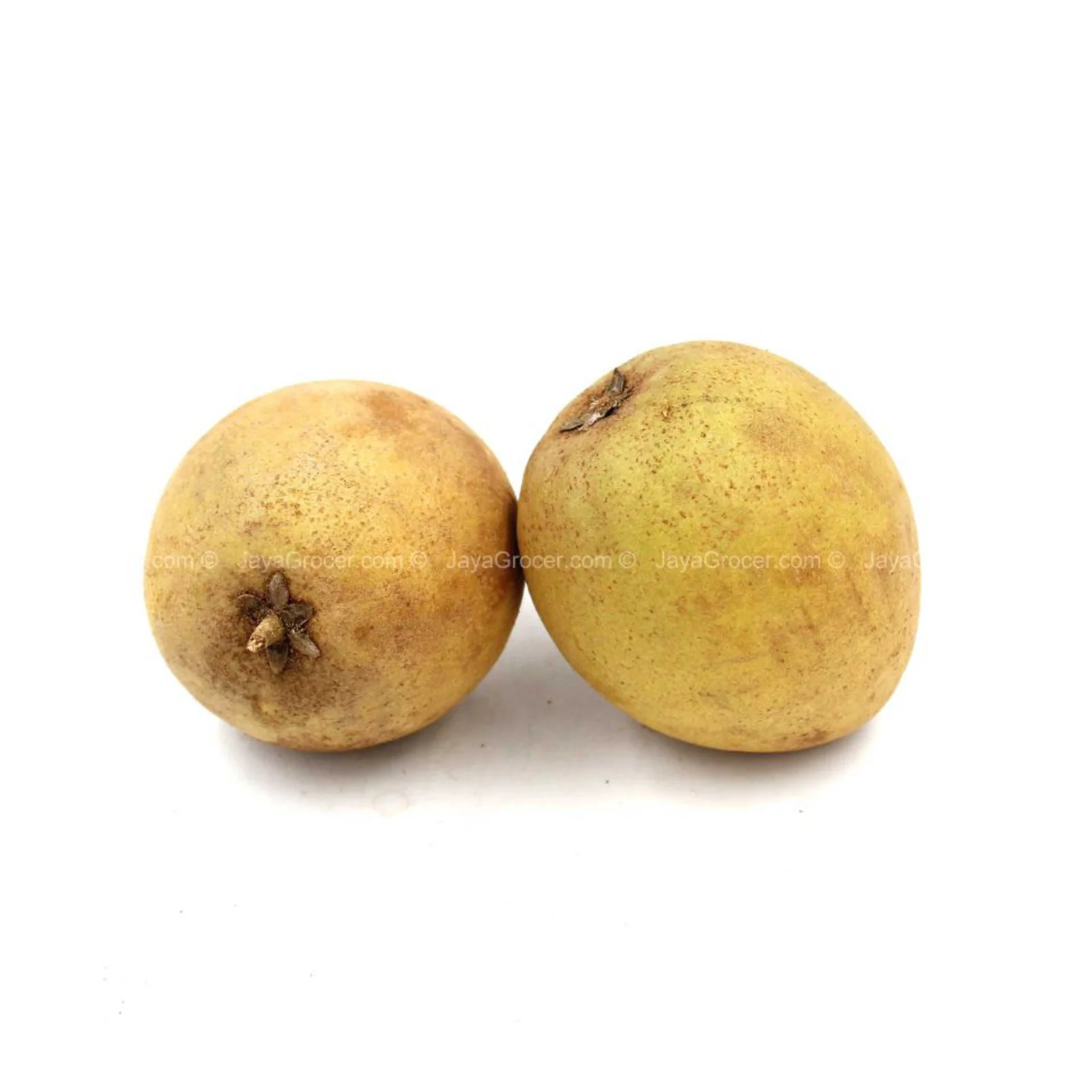 King Ciku (Malaysia) 500g - Image 2
