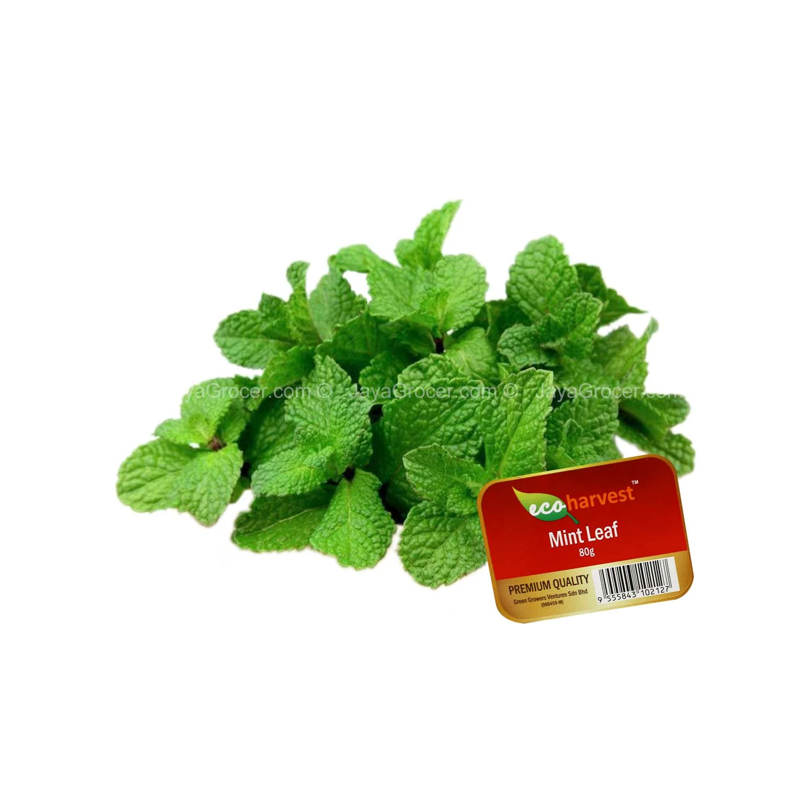 Eco Harvest Mint Leaf (Daun Pudina) (Malaysia) 80g - Image 2