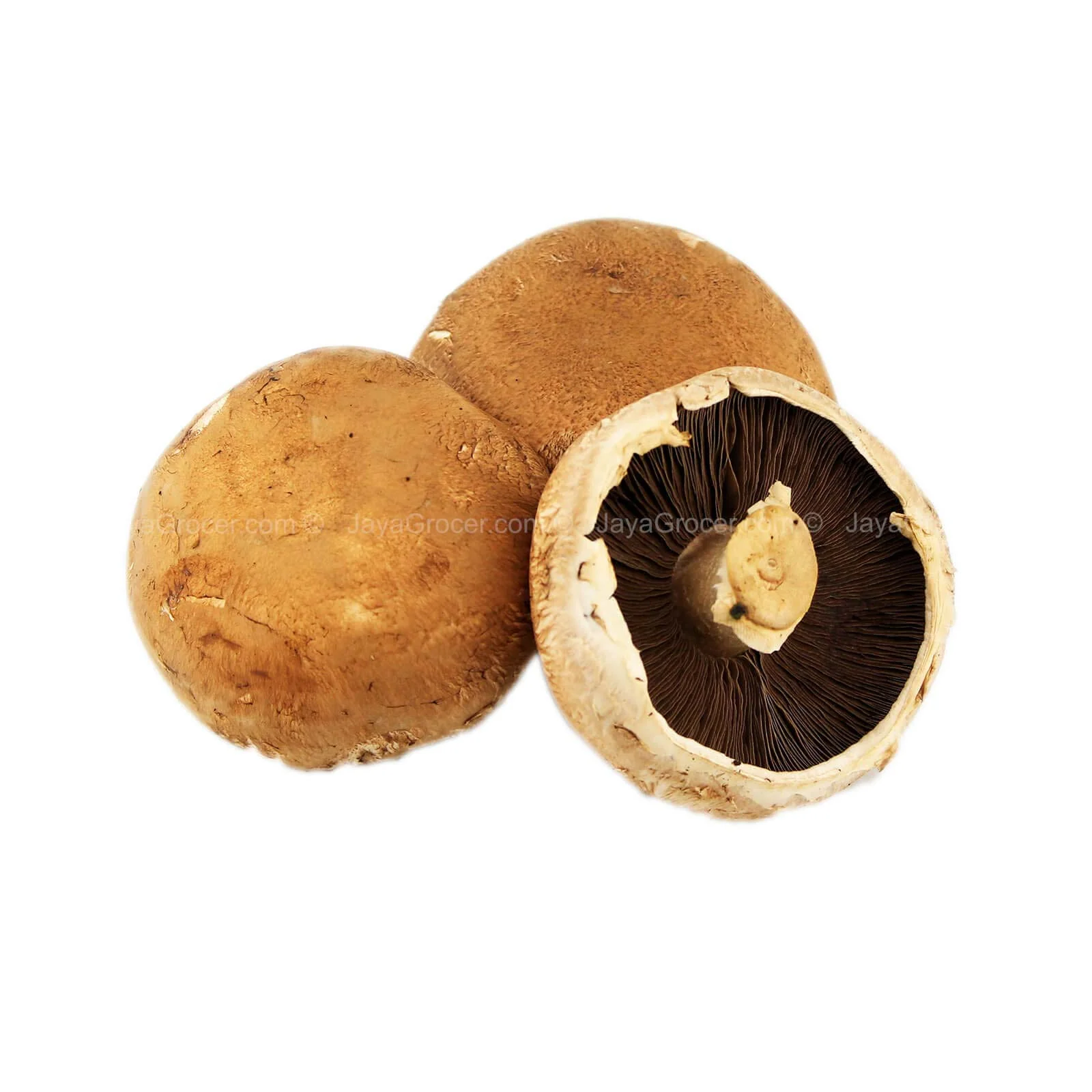 Country Pride Portobello Mushroom 250g - Image 2