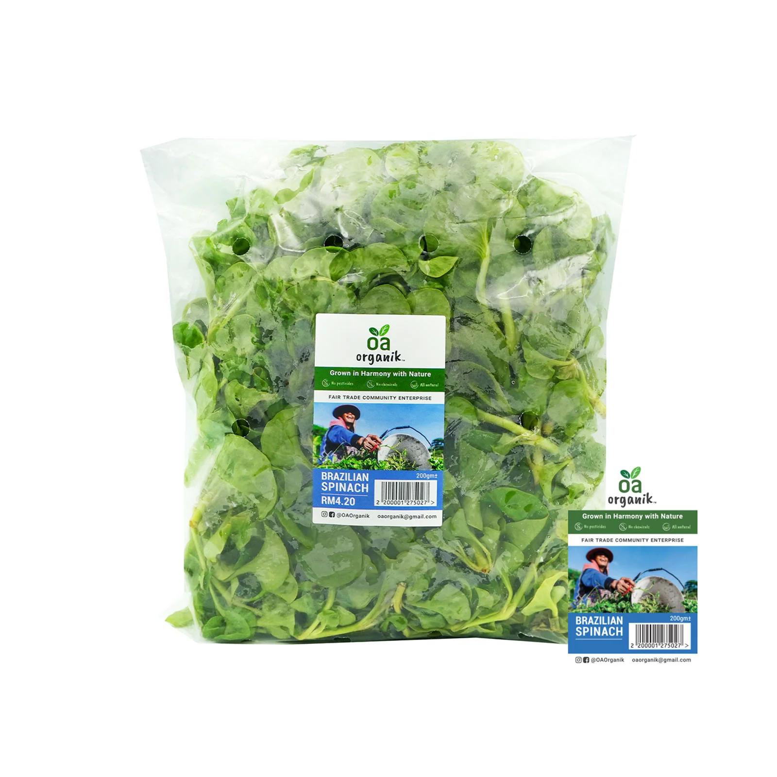 Brazilian Spinach (Malaysia) 200g - Image 2