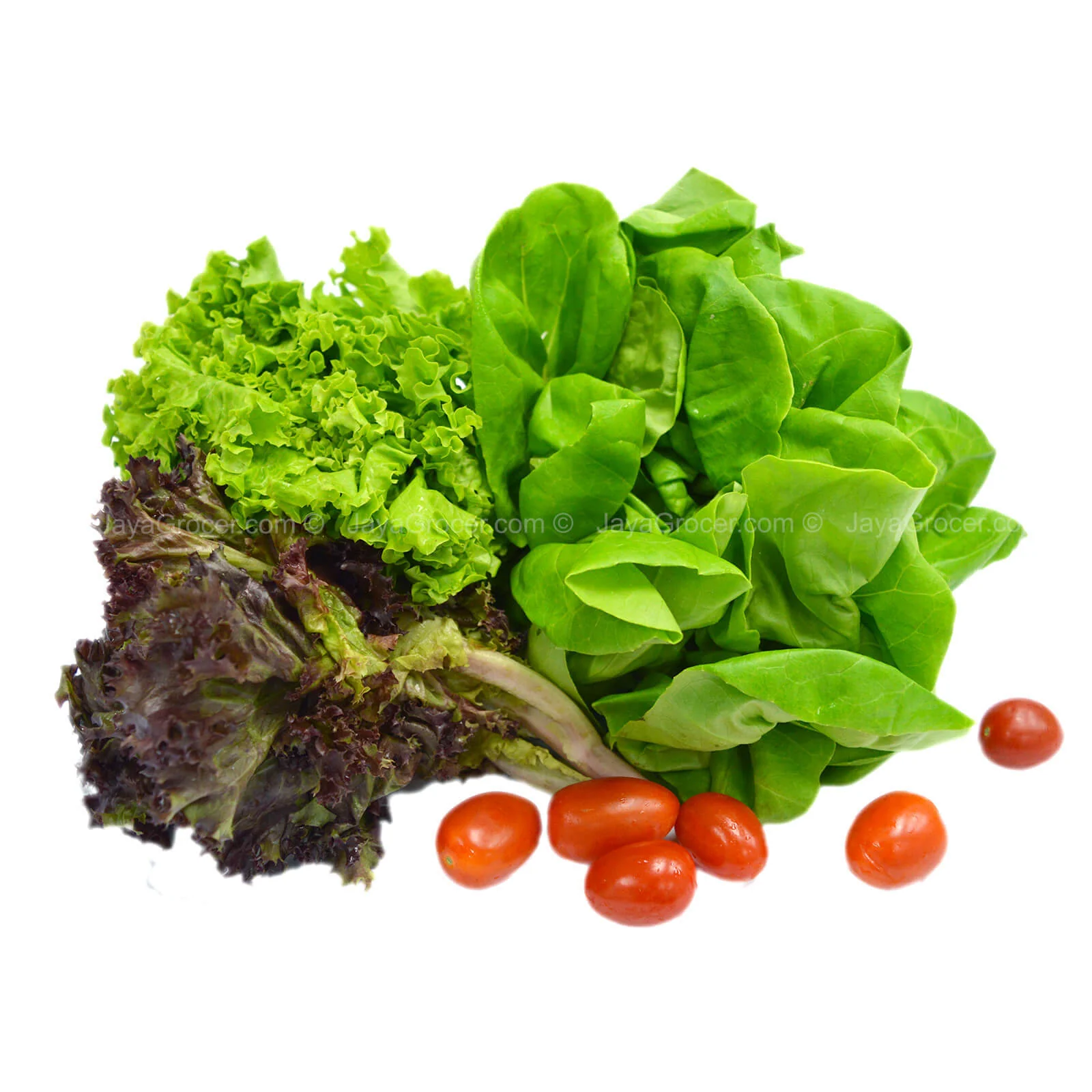 Paprika Farm Lettuce Mixed Salad (Malaysia) 230g - Image 2