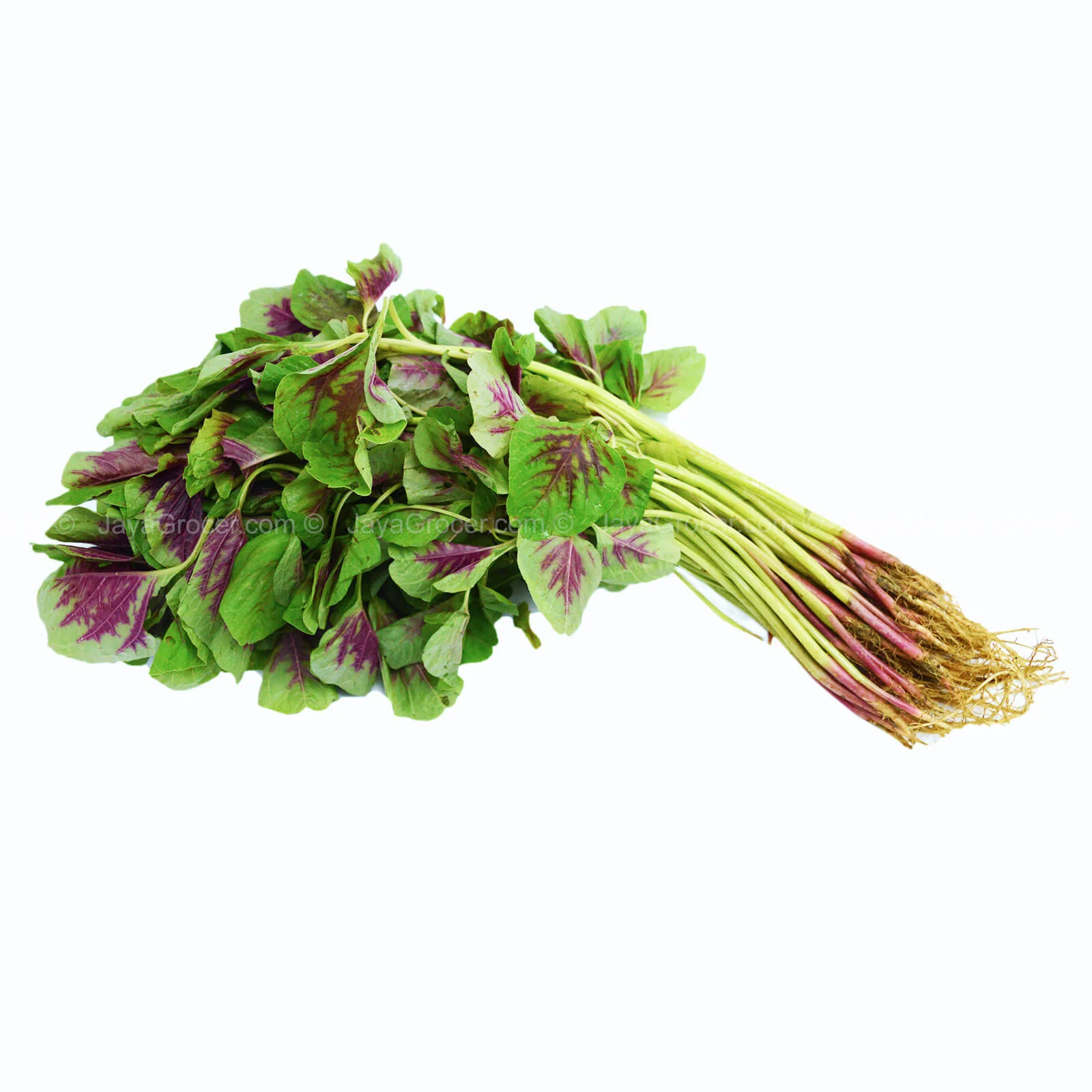 Summer Harvest Red Spinach (Bayam Merah) (Malaysia) 250g - Image 2