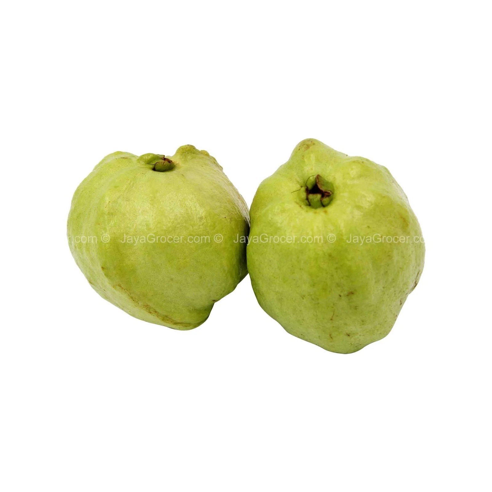 Seedless Guava (Malaysia) 500g - Image 2