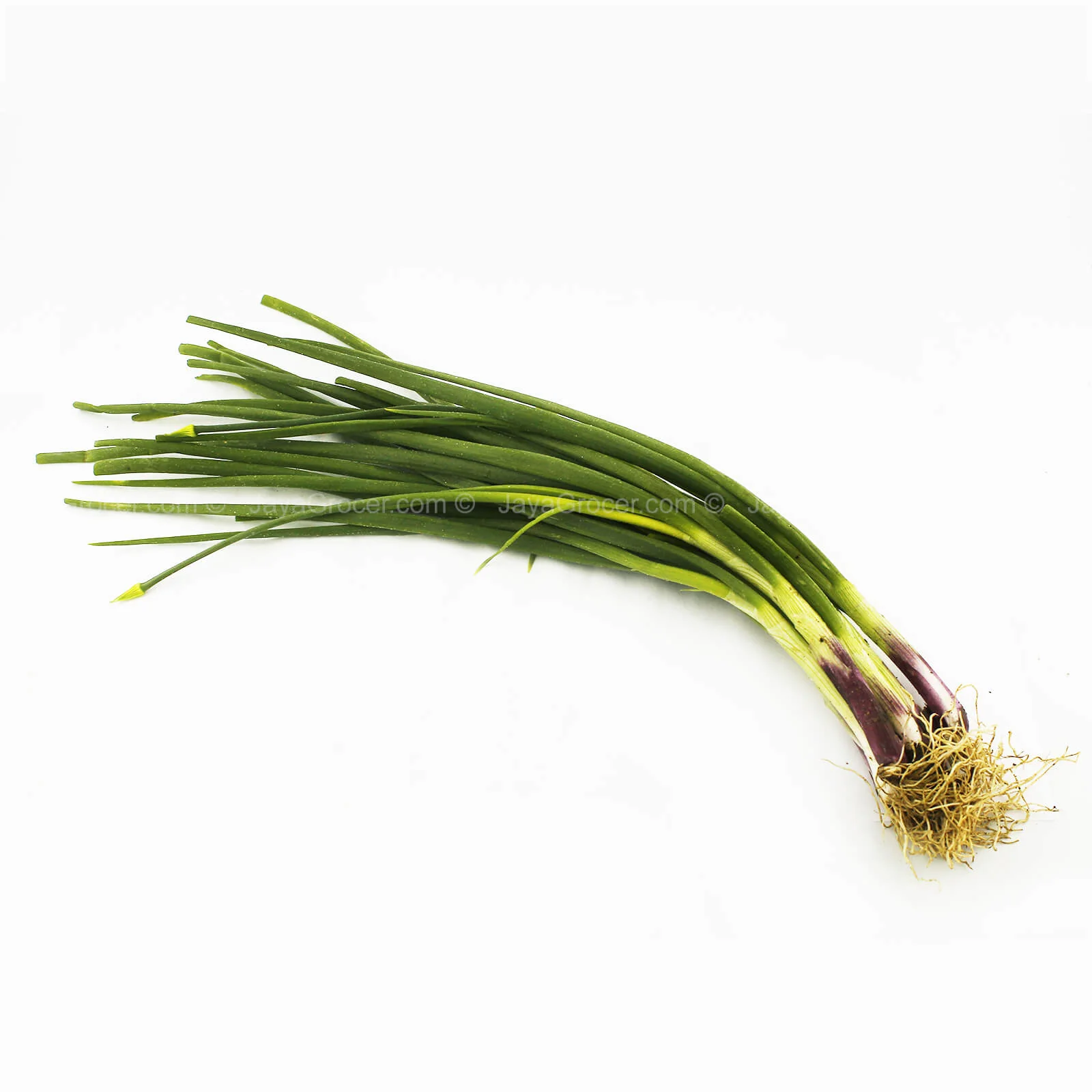 Spring Onion (Daun Bawang) (Malaysia) 80g - Image 2