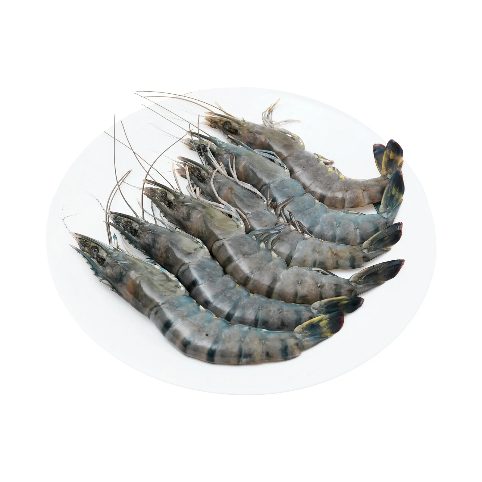 Tiger Prawn/ Udang Harimau XL 300g