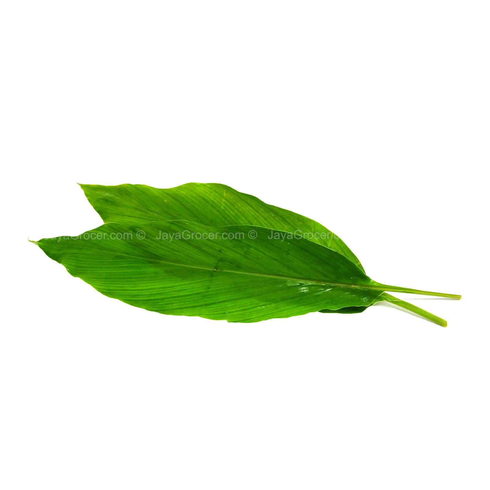 Turmeric Leaves (Daun Kunyit) 25g - Image 2