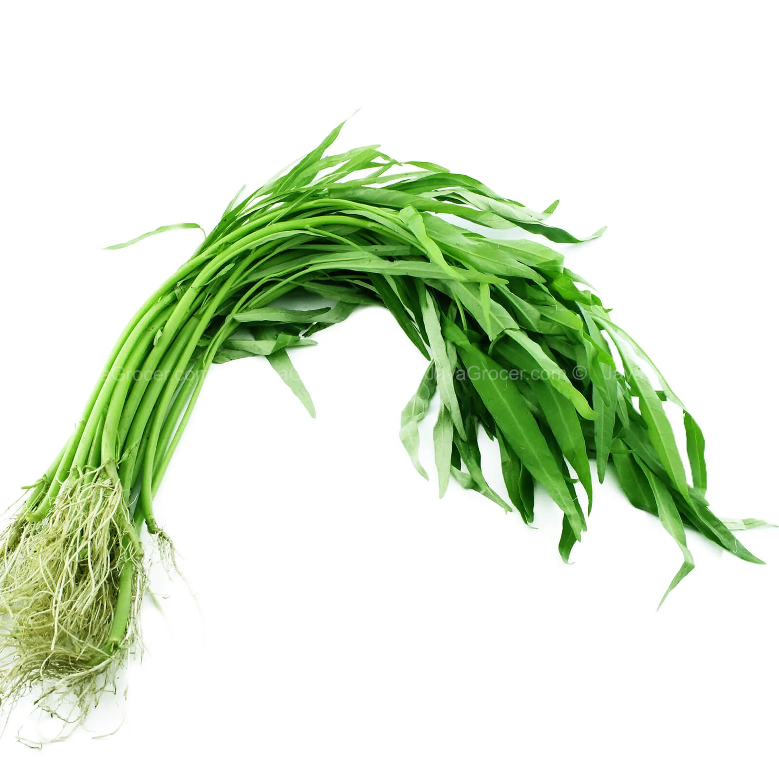 Summer Harvest Water Spinach (Kangkung) (Malaysia) 250g - Image 2