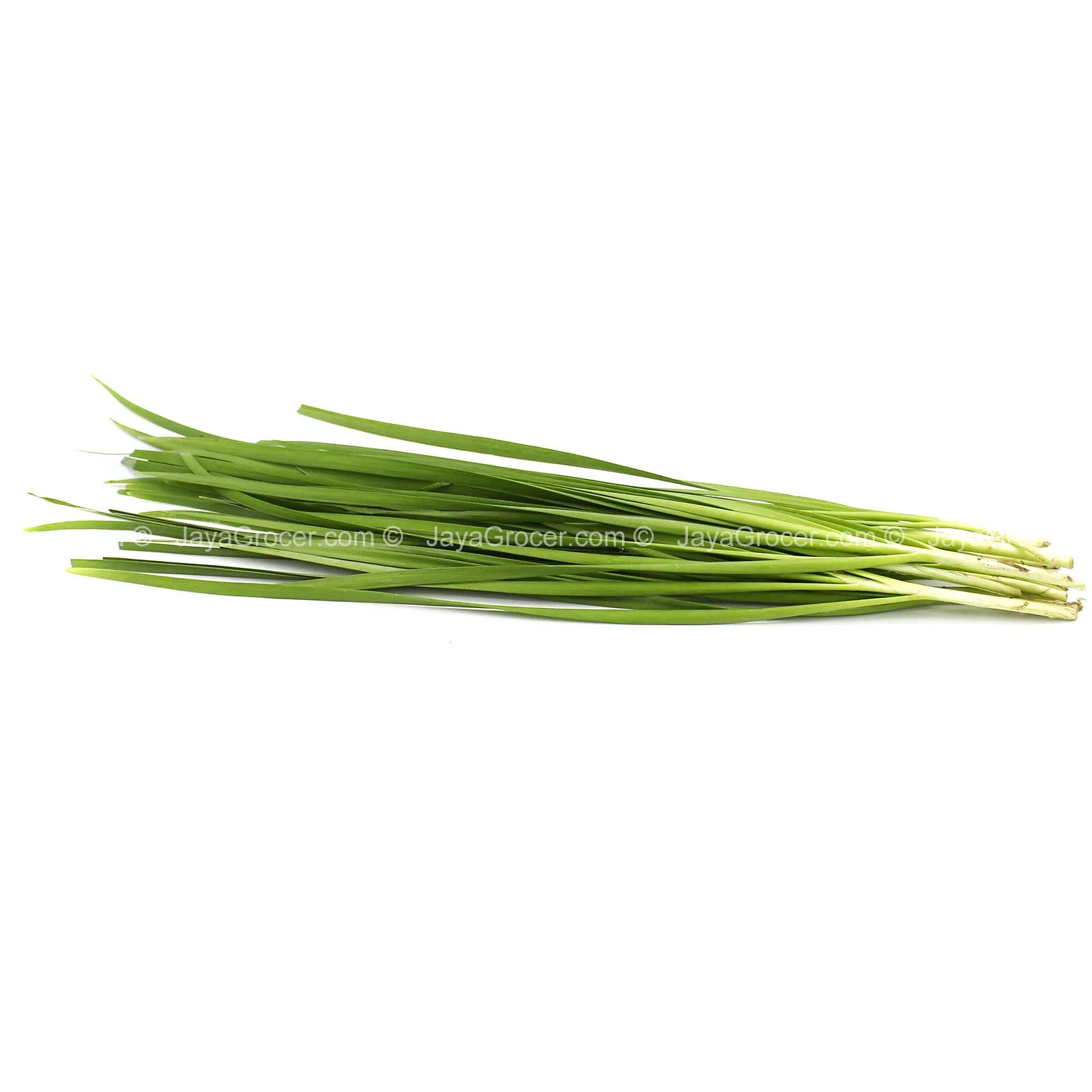 Kuchai (Garlic Chives) (Malaysia) 100g - Image 2